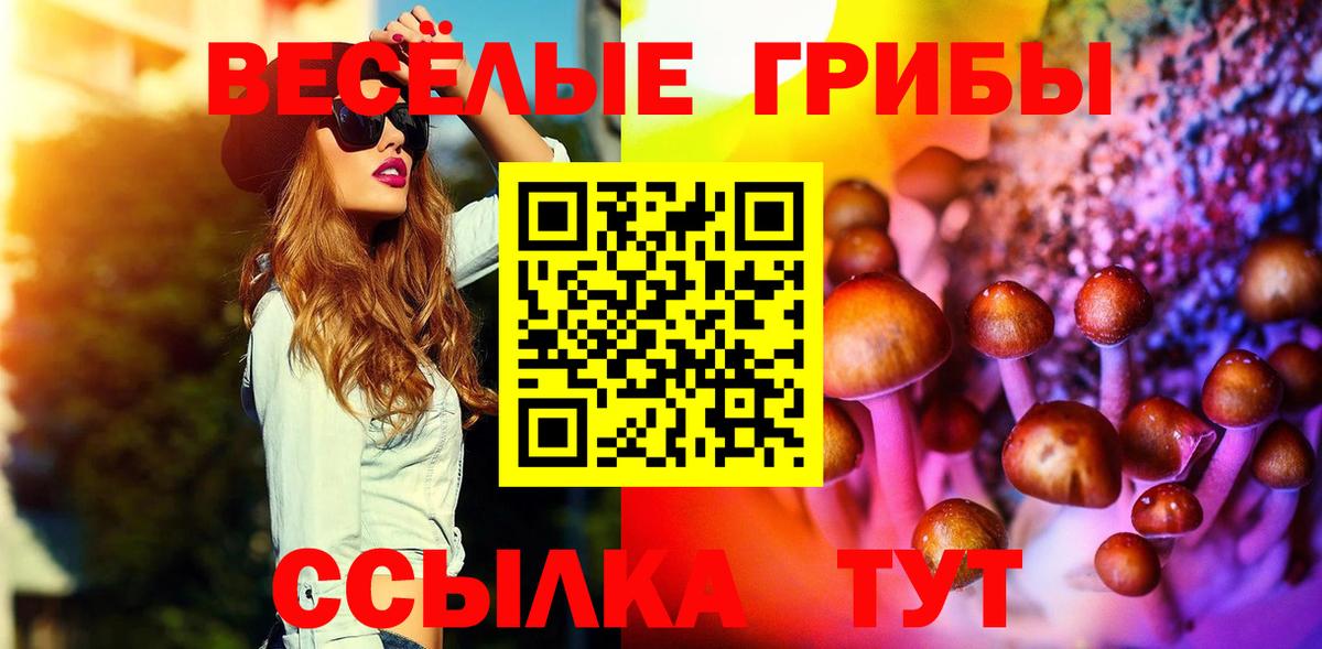 Галлюциногенные грибы Psilocybine cubensis  Вход с VPN  Галлюциногенные грибы Cubensis  Магнитогорск 